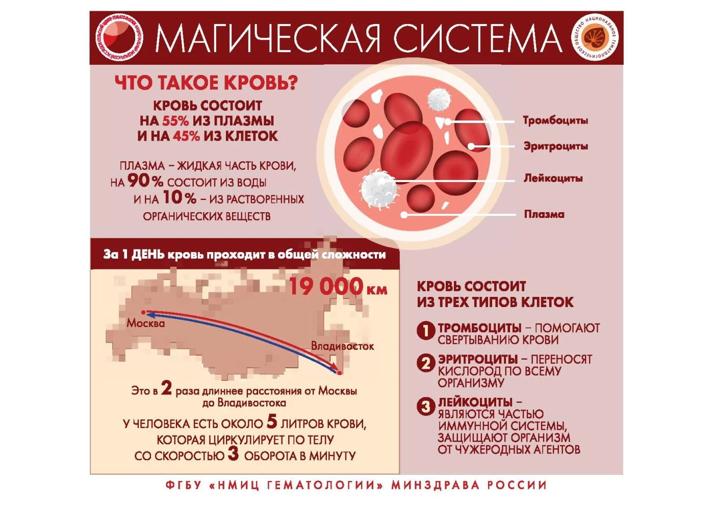 ЗАБОЛЕВАНИЯ СИСТЕМЫ КРОВИ
