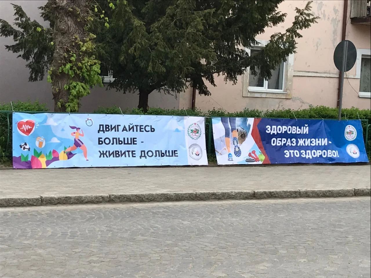 В Светлогорске пройдет «Фестиваль здорового образа жизни»