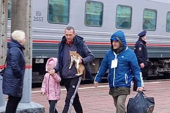 МЕДИЦИНСКАЯ ПОМОЩЬ ЛИЦАМ, ПРИБЫВШИМ НА ТЕРРИТОРИЮ РОССИИ  ИЗ УКРАИНЫ, ЛУГАНСКОЙ И ДОНЕЦКОЙ РЕСПУБЛИК.