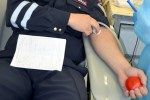 Сотрудники калининградской полиции сдали более 30 литров крови