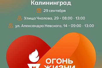 Всероссийская эстафета факела «Огонь жизни» пройдет в Калининграде