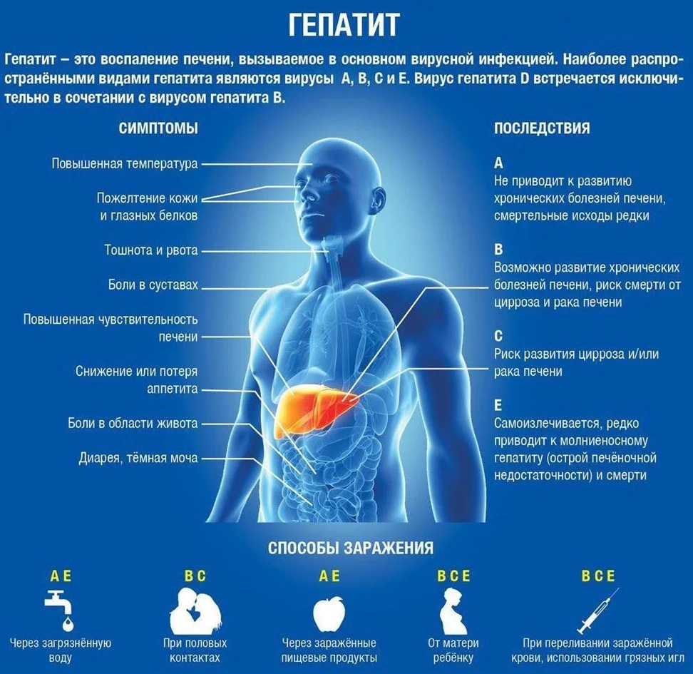 ОСТОРОЖНО, ГЕПЕТИТ